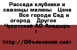 Рассада клубники и саженцы малины › Цена ­ 10 - Все города Сад и огород » Другое   . Чукотский АО,Анадырь г.